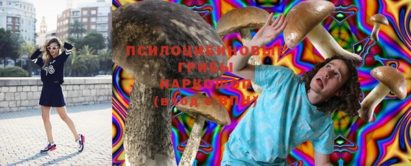 шишки Алзамай