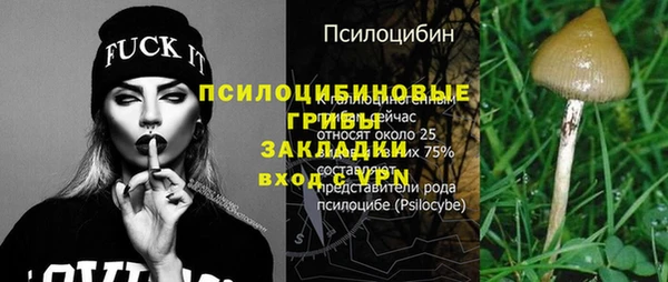 шишки Алзамай