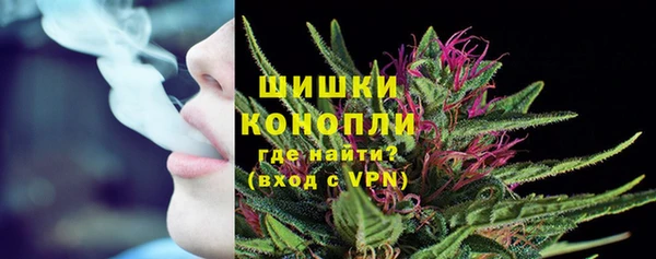 шишки Алзамай