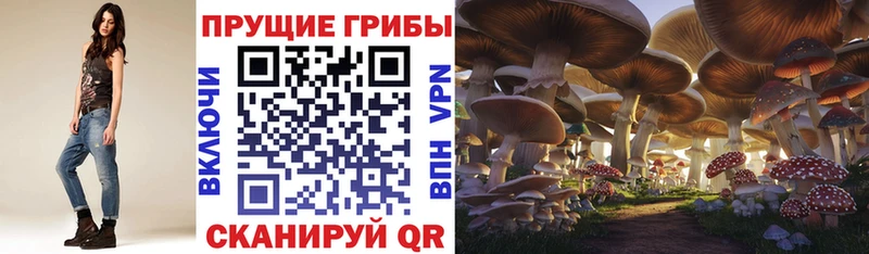 наркошоп  Кореновск  Галлюциногенные грибы мухоморы 