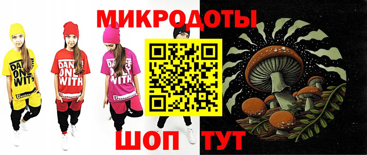 Галлюциногенные грибы Psilocybe Кореновск