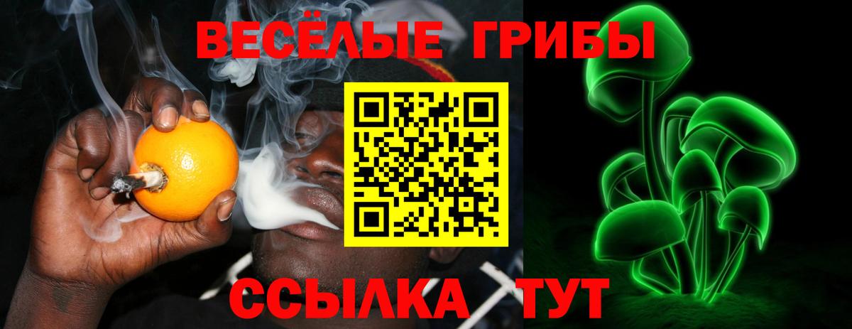 Галлюциногенные грибы Psilocybe  Вход с VPN  как найти   Кореновск 
